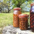 Cerises au vinaigre