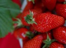 confiture