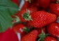 confiture