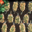sardines_au_four