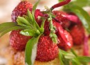 Tarte-fraises-Une