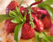 Tarte-fraises-Une