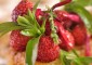 Tarte-fraises-Une