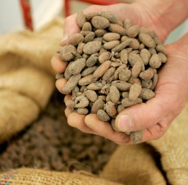 De la fève au chocolat, un des thèmes abordés par la visite guidée "Cacao et chocolat, petite et grande Histoire" (archives SO).