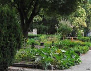 Le potager du Parc Rivière s'apprête à accueillir de nombreux gourmets ce samedi.