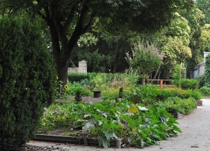 Le potager du Parc Rivière s'apprête à accueillir de nombreux gourmets ce samedi.