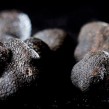 truffe-une