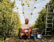 pierre-chassaing-a-bayssac-produit-des-pommes-en-aop-limousin